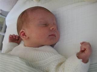 ti bou de chou